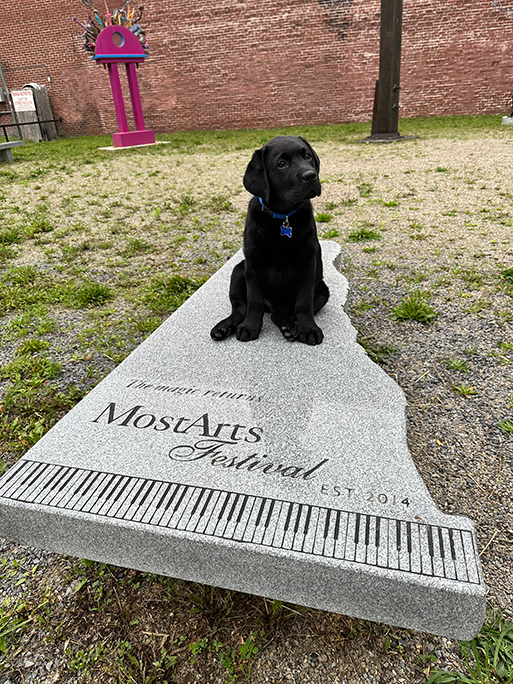 Image of puppy BRAVO with sculpture