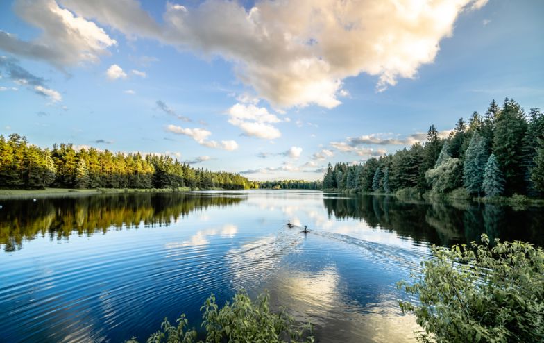 Serene view of Foster Lake surrounded by dense forest, with two ducks gliding across the calm water under a sky filled with soft clouds and golden evening light.