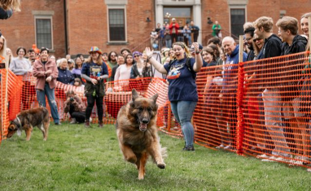 A dog running in the grass during Hot Dog Day