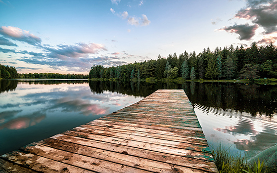 A rustic wooden pier extends over a tranquil lake, reflecting a sky dotted with fluffy clouds and bordered by dense, serene pine trees at sunset.