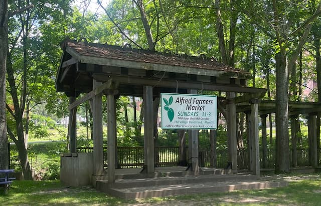 Wooden pavilion surrounded by green trees with a sign for Alfred Farmers Market, indicating it's open Sundays. Sunlight creates a peaceful, inviting atmosphere.