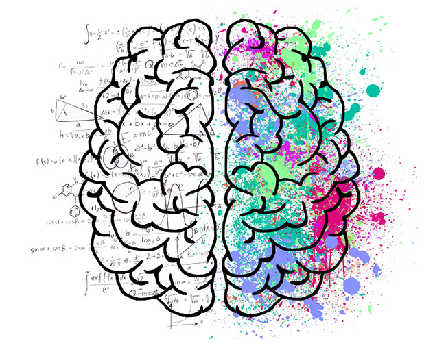 scientific equations written out with a brain graphic overlayed