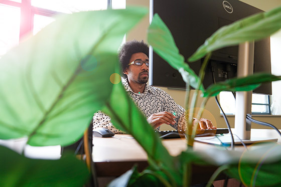 student at a computer seen through a plant