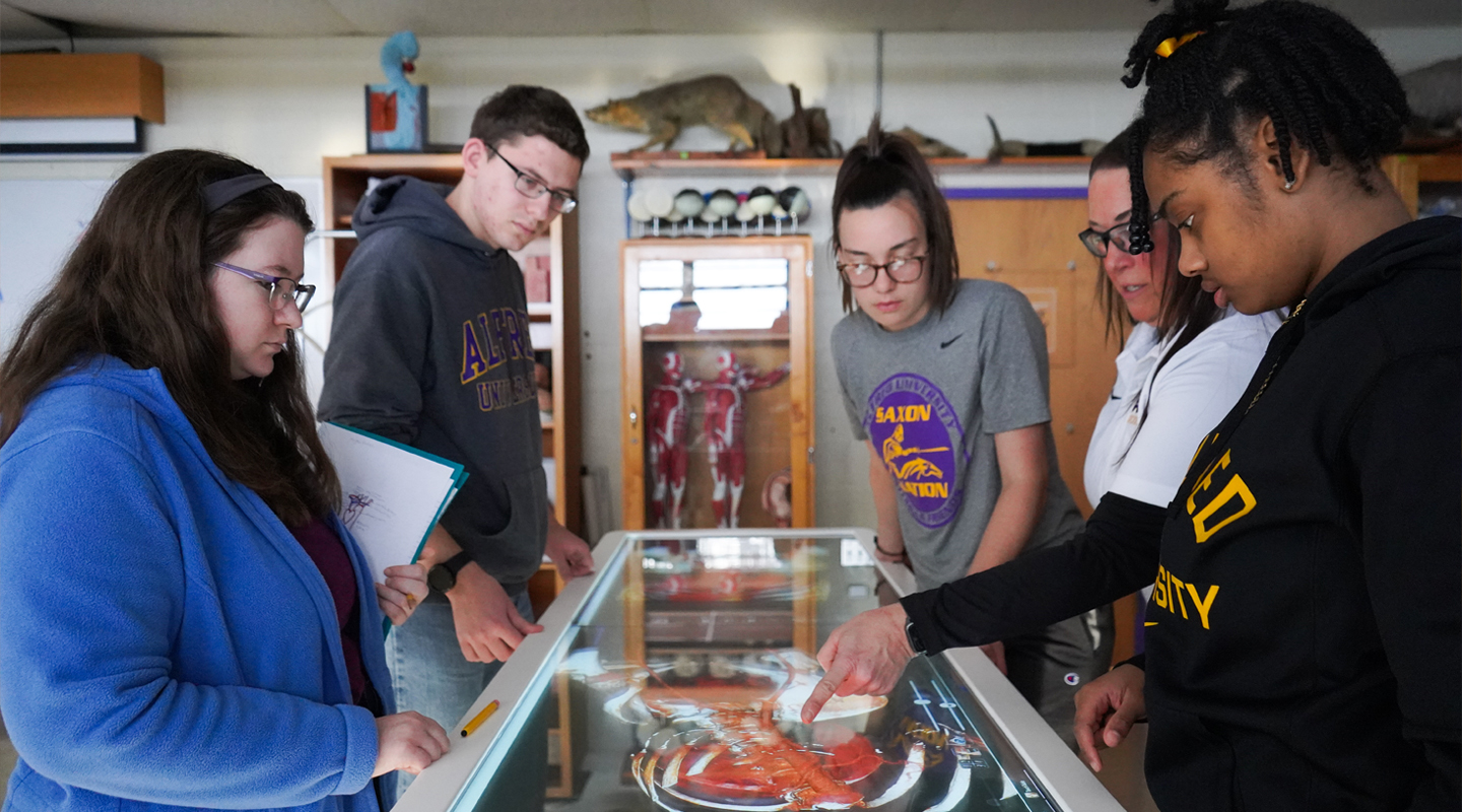 Students looking at anatomy 