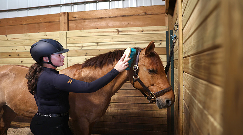 A photo of an equestrian student taking care of a horse
