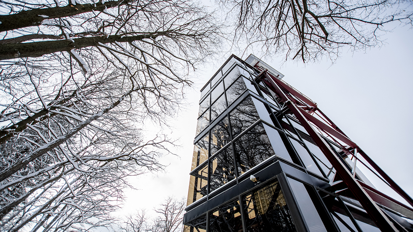 A photo of the Carillon