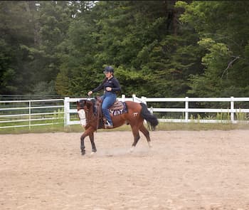 A person riding a brown horse in an outdoor sandy arena. The rider is wearing a black helmet, dark jacket, and blue jeans. The horse has white markings on its legs and face, and the rider is holding the reins with both hands. A white fence surrounds the arena, with trees in the background.