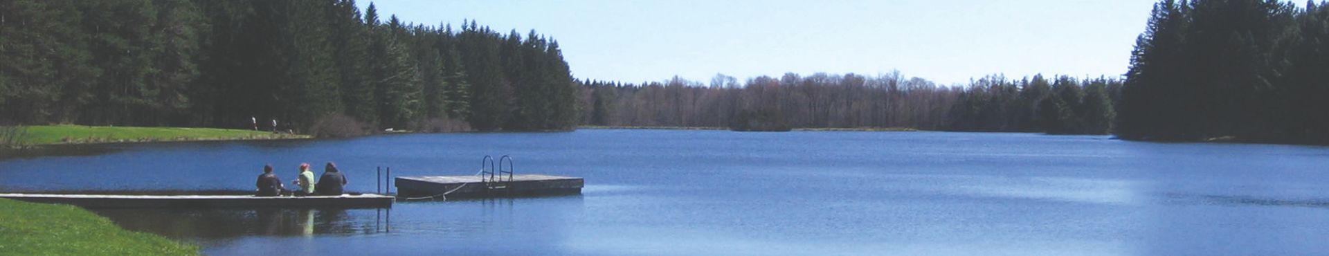 View of Foster Lake at Alfred University on a clear day, with people sitting on a wooden dock extending over calm water, surrounded by green grass and dense pine trees.
