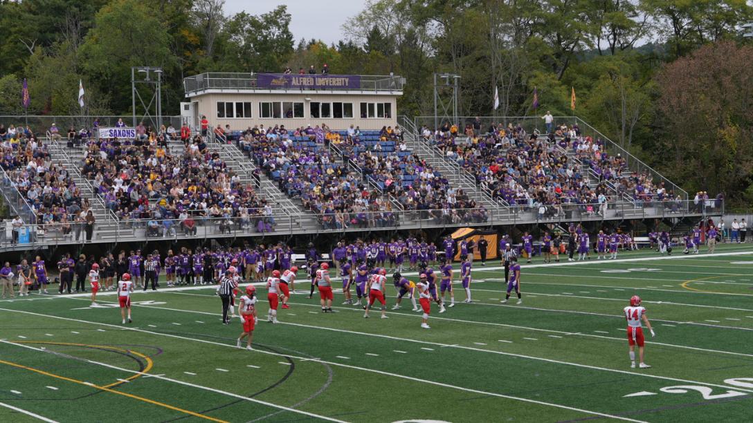 A college football game at Alfred University with a large crowd in the stands, many dressed in purple and gold. The green field has white yard lines, and players in red and white face off against players in purple. Above the stands, the scoreboard and press box display 'Alfred University' and 'Saxons.' Trees surround the stadium in the background.