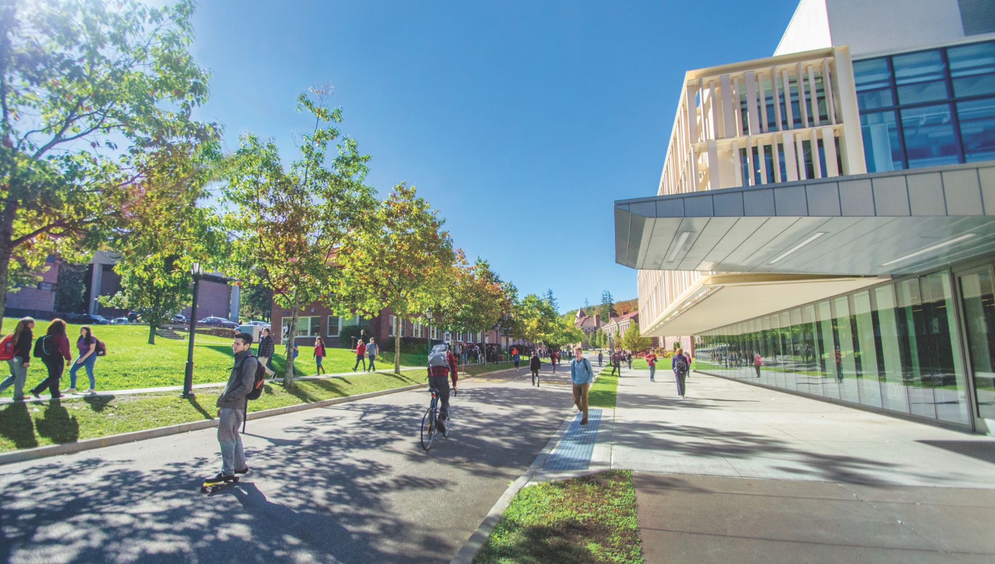 Students walk, bike, and skateboard along a sunny campus street lined with trees and modern academic buildings at Alfred University.
