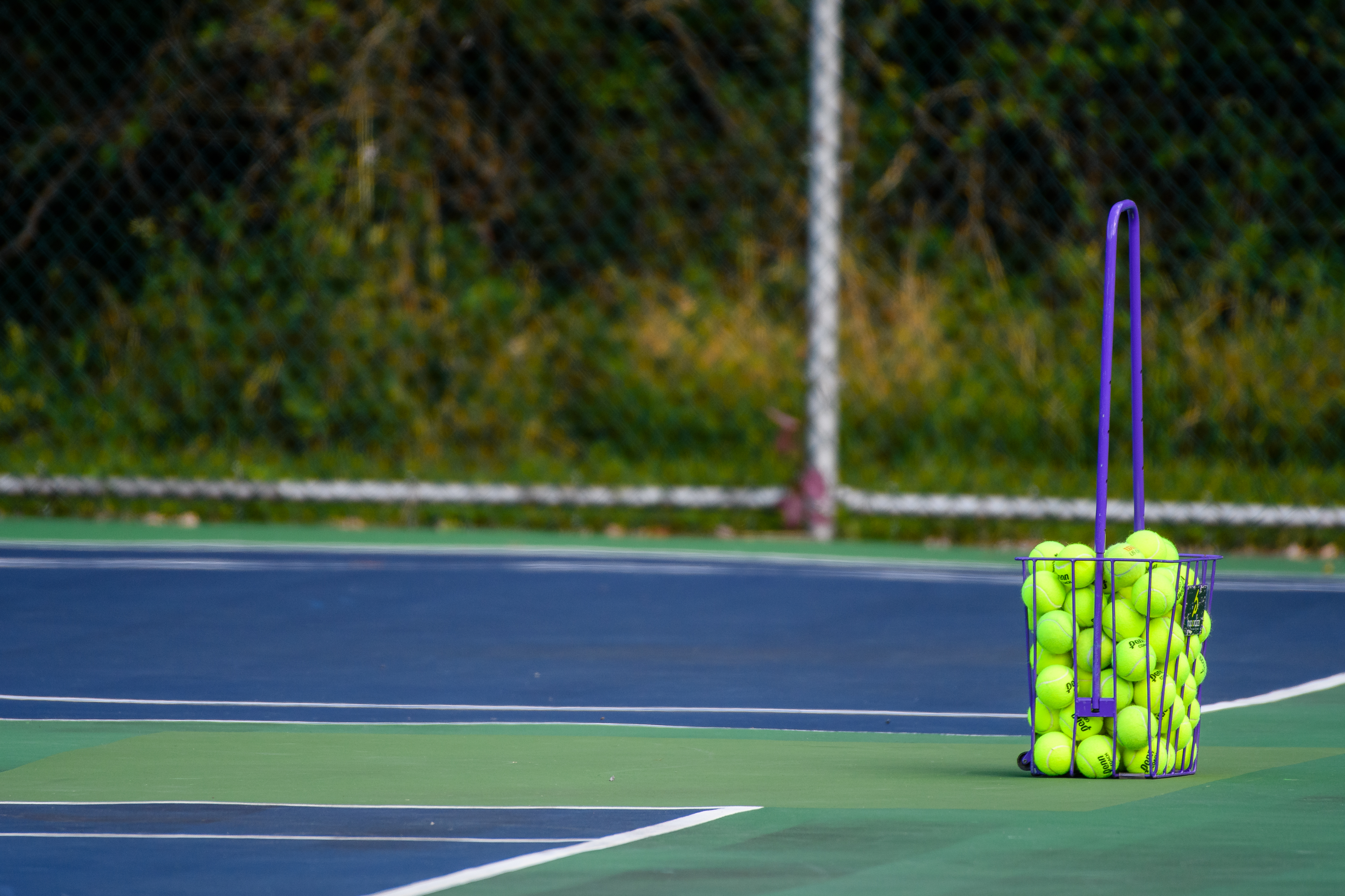 A basket filled with bright yellow tennis balls on a blue and green outdoor tennis court