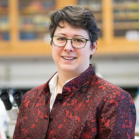 Jean Cardinale, Associate Provost Headshot