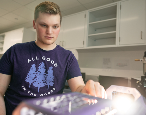 Ceramics Engineering Study