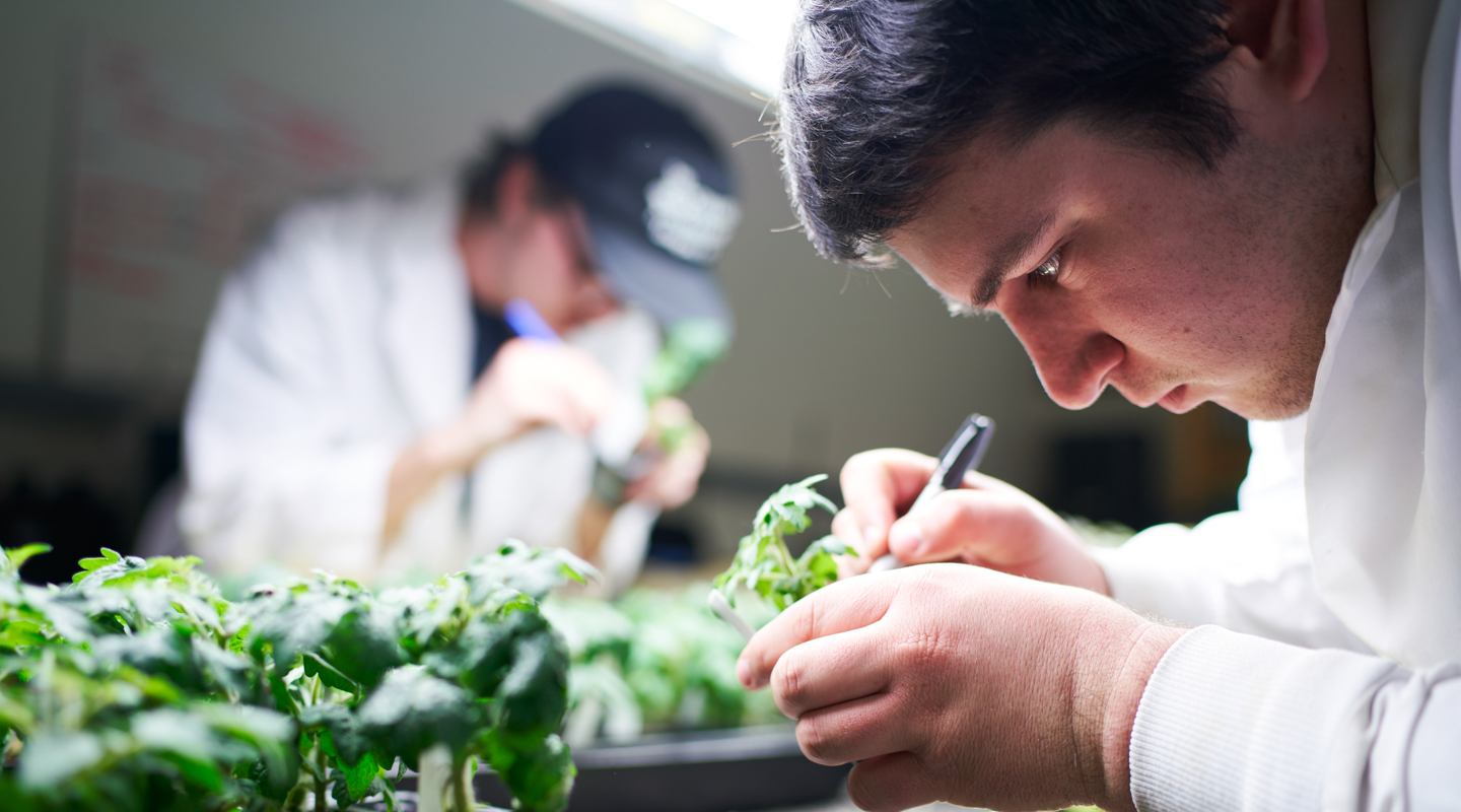 student examining plants