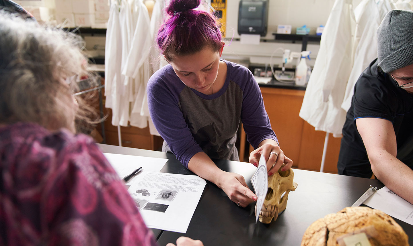 student examining skull