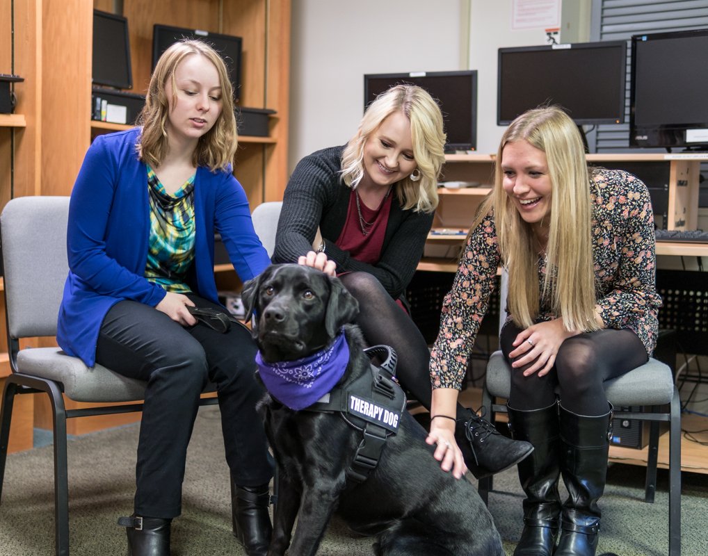 School Counselors Mental Health