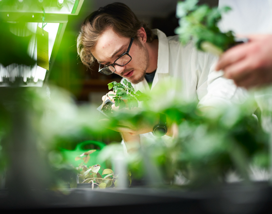 students examining plants