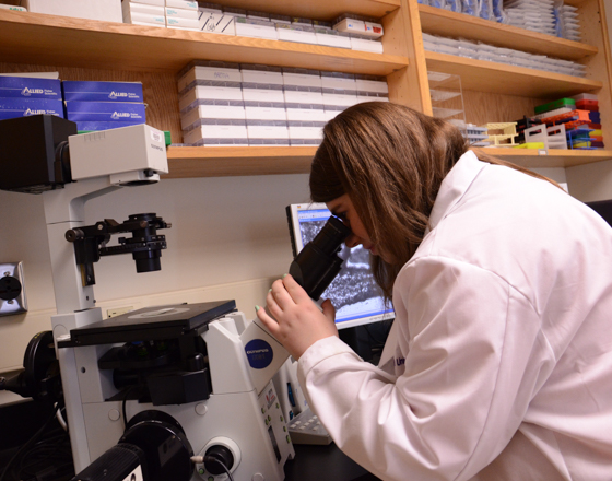 Biomaterials Do Checkboard