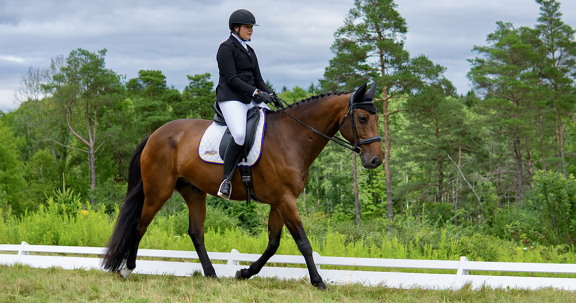 A photo of an Alfred University student riding a horse