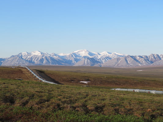 Sustainable Practice