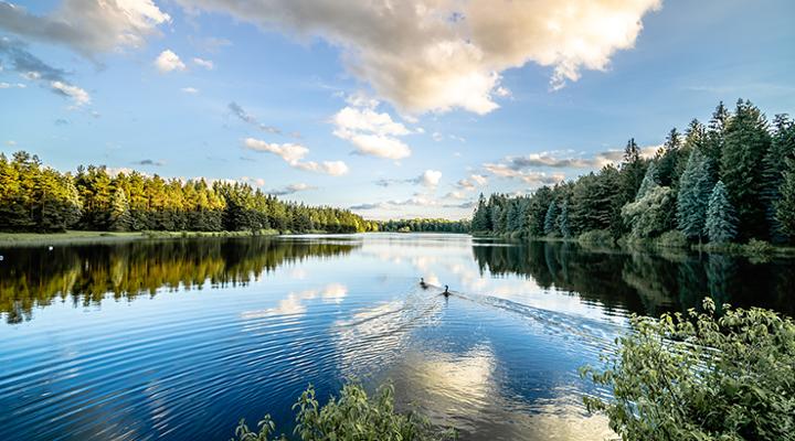 Peaceful view of Foster Lake surrounded by trees under a partly cloudy sky with reflections on the water.