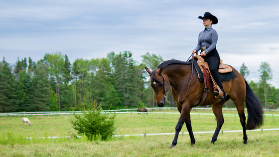 Female student riding a horse in an equestrian arena at Alfred University.