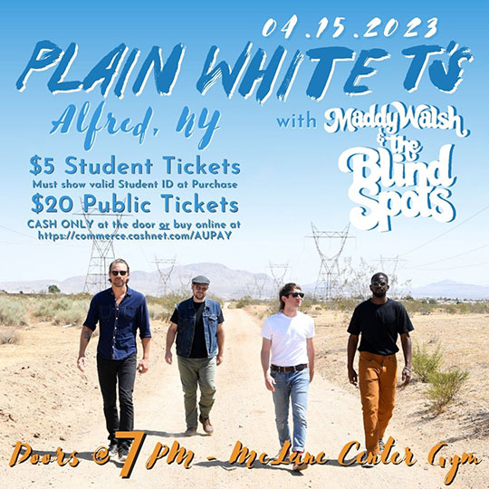 concert promotional poster, Plain White T's band