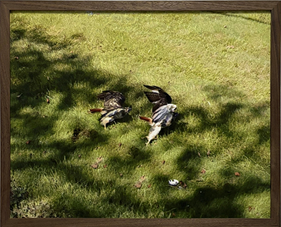 image of abidi artwork