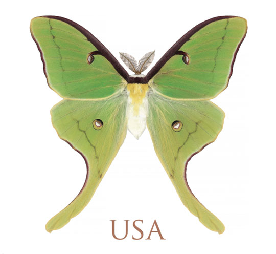 image of a green moth adorning a stamp