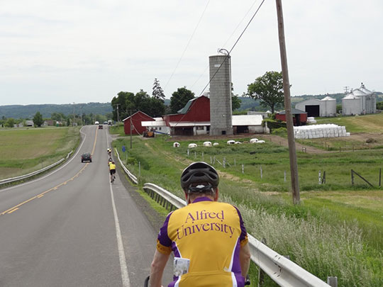 back of bicyclist riding on road