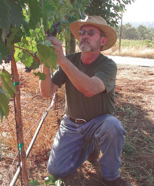 A man in a straw hat and sunglasses kneels in a vineyard, inspecting grapevines. He wears a green shirt and jeans, conveying a focused, rural setting.
