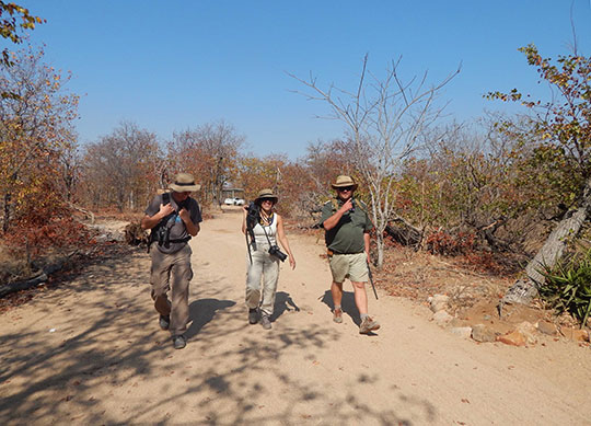 Three people walk along a dirt path through a dry, wooded area on a sunny day, carrying cameras and wearing hats for sun protection.
