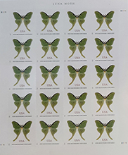 image of pane of luna moth stamps