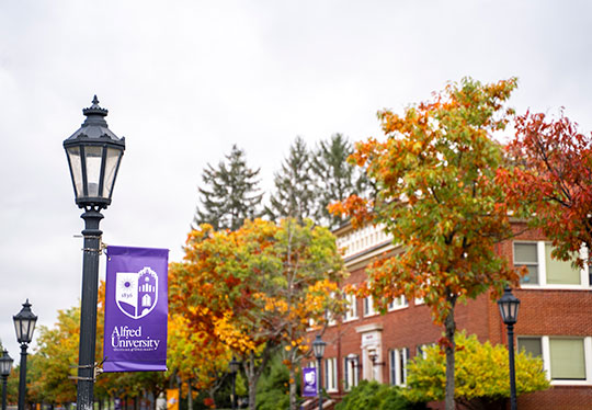 lightpole sign for alfred university