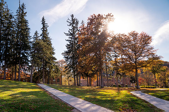 campus scene, trees and buildings