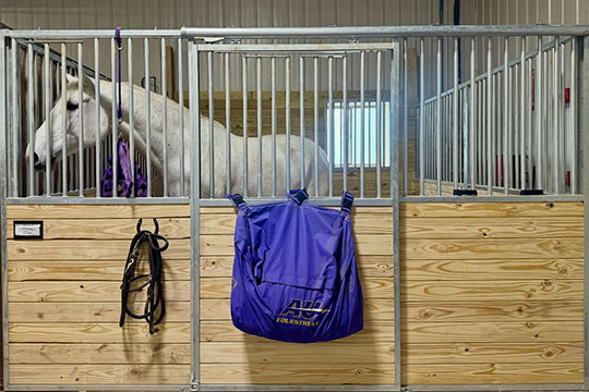 horse in stall at equestrian center