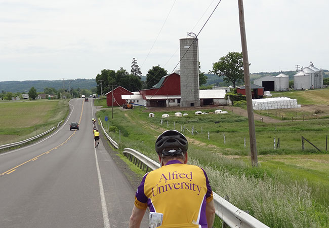 man on a bicycle, riding down a country road