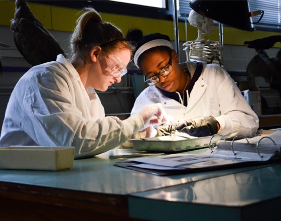 students in a science lab
