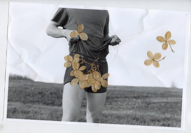 A black and white photograph of a person with flowers placed over their boxers.