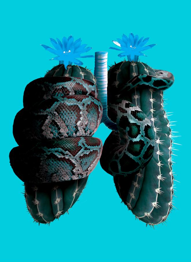 Two cacti in the shape and form of a pair of lungs, constricted by a coiled snake. 