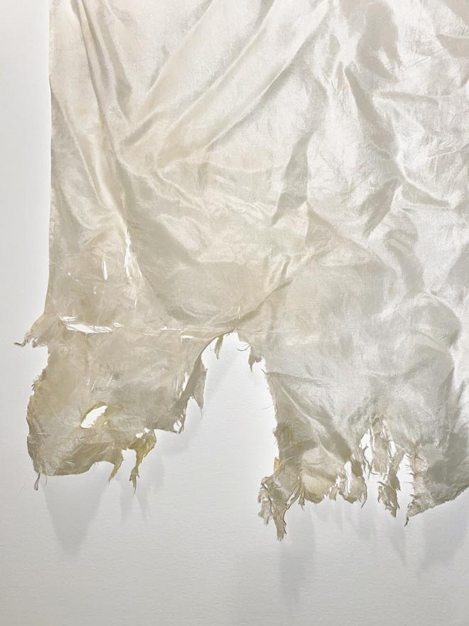 White silk is yellowed and tattered from bleach immersion. The frayed fabric shifts with the breeze.