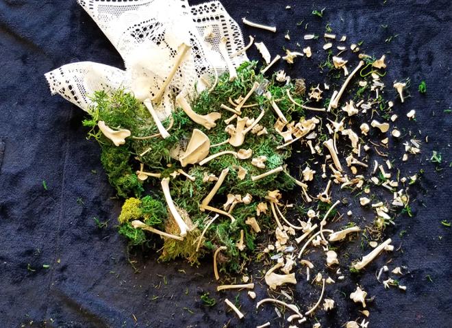 Fox bones spread over moss and lace.  