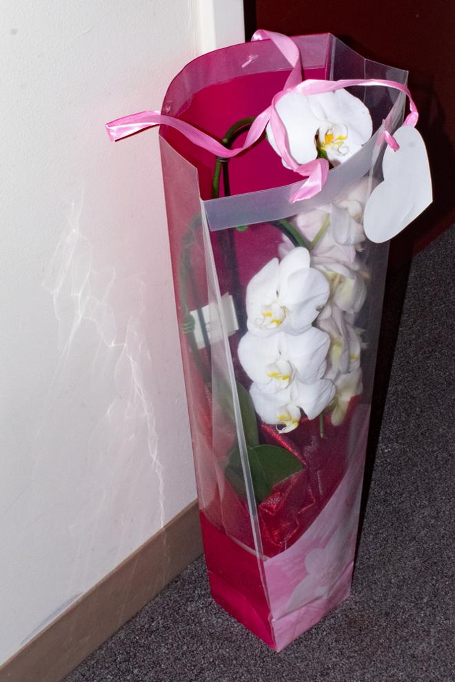 A  photograph of a bouquet of fake flowers, held inside of a pink plastic case, sit abandoned in a hallway.