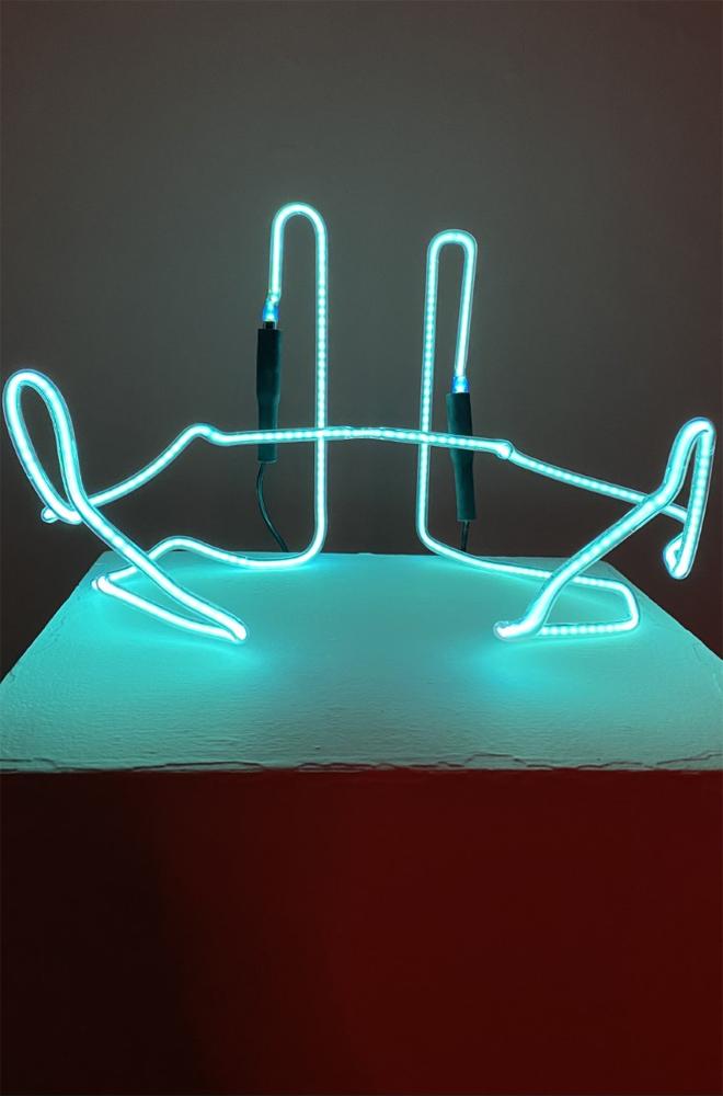 An abstract neon sculpture of the pelvis