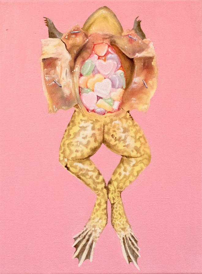 A dissected frog is full of conversation hearts on a pink background.