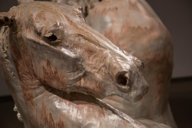 Detail of white horse head 