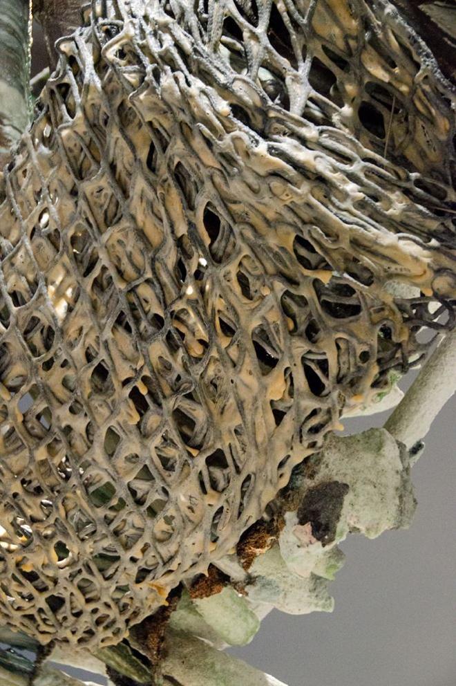 Close-up image of netting that is sustaining the sculptures. A black polyester net is coated in yellowish beige latex. 