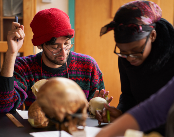 Students in a lab looking at skeleton remains