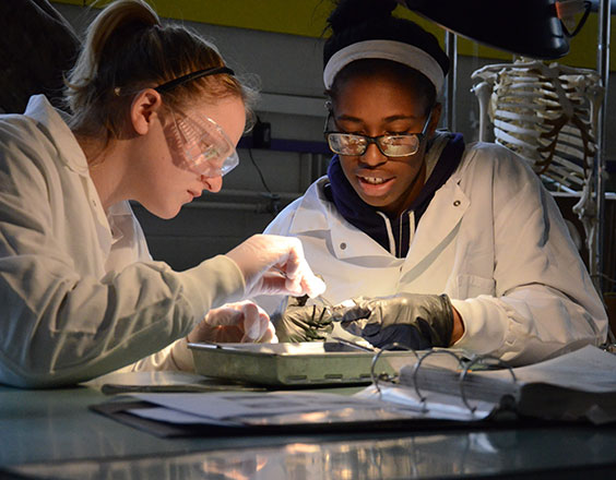 Two female students in the biology dissection lab