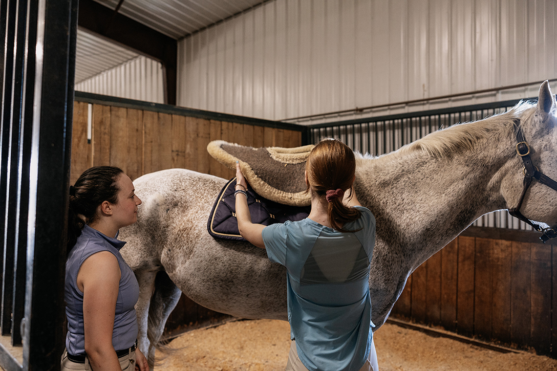 A photo of a high school student putting a saddle on a horse